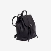 Black Cork Backpack with Red Lining